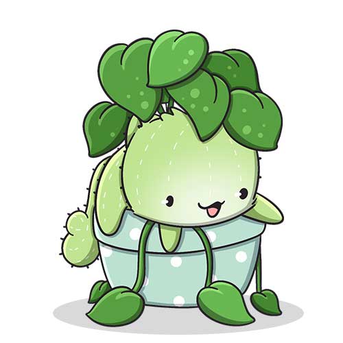 Lily
