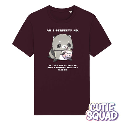 Am I Perfect? No. Kawaii Raccoon T-Shirt