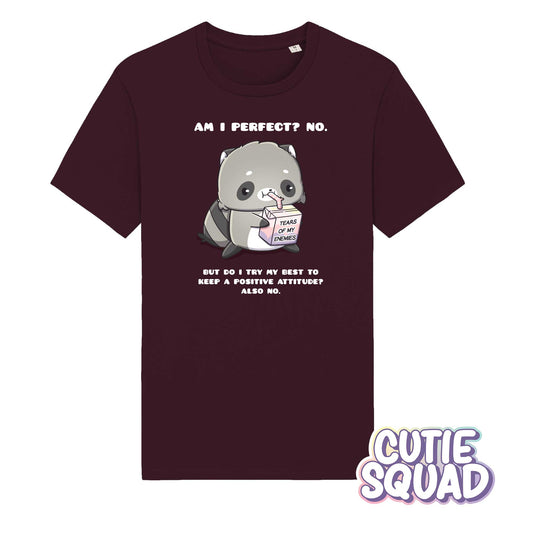 Am I Perfect? No. Kawaii Raccoon T-Shirt